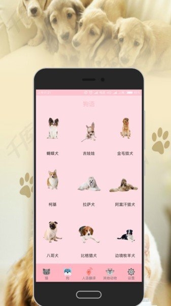 人猫狗交流器中文版v1.0