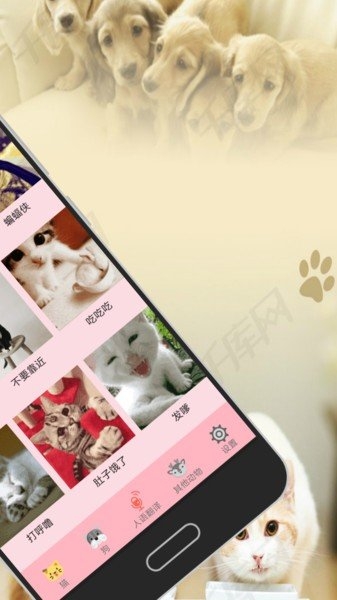 人猫狗交流器中文版v1.0