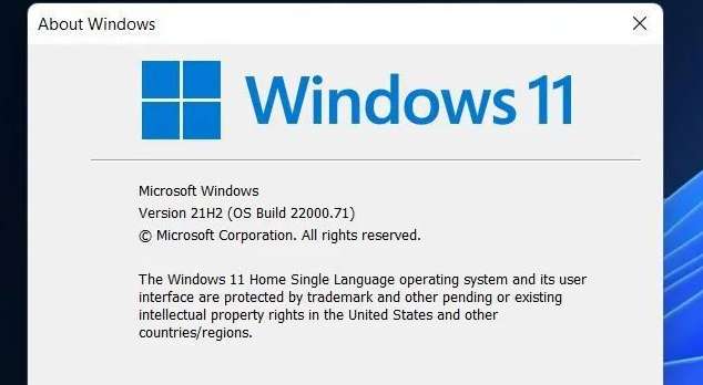 Windows11禁用资源管理器历史搜索教程分享